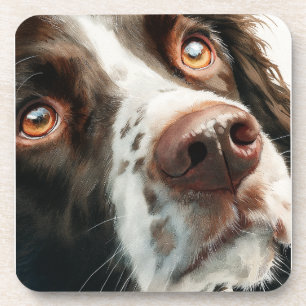 Porta-copo Retrato do springer spaniel marrom