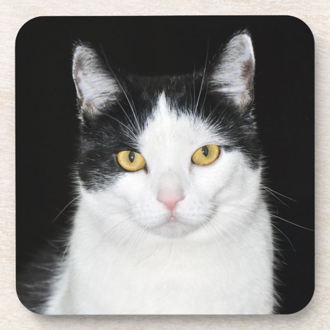 Porta-copo Retrato preto e branco do gato (Frente)