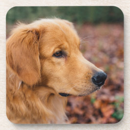Porta-copo Retriever Dourado