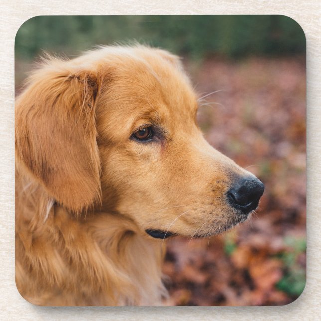 Porta-copo Retriever Dourado (Frente)