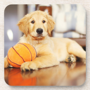 Porta-copo Retriever Ouro Com Brinquedo De Basquete