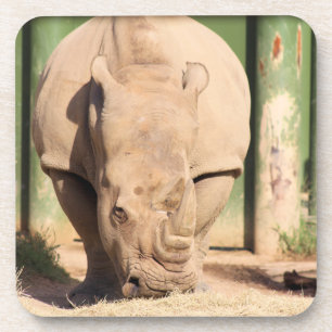 Porta-copo Rhino Branco