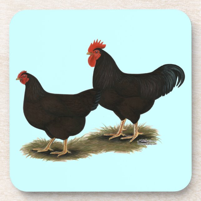 Porta-copo Rhode Island Red Bantams (Frente)