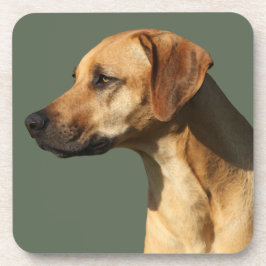 Porta-copo Rhodesian Ridgeback