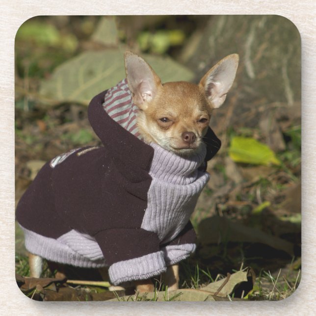 Porta-copo Rico Chihuahua (Frente)