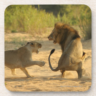 Porta-copo Rio de Timbavati, parque nacional de Kruger,