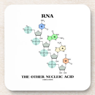 Porta-copo RNA o outro ácido nucleico (estrutura química)
