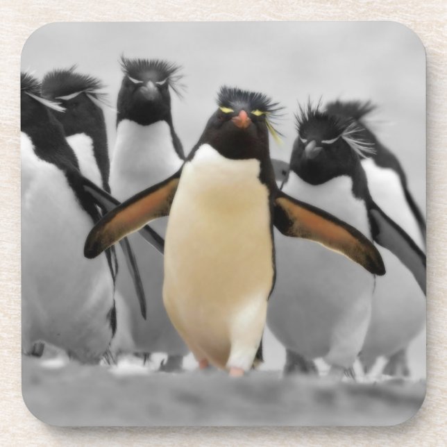Porta-copo Rockhopper Penguins (Frente)