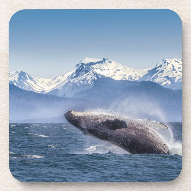 Porta-copo Rompendo a baleia de Humpback em Alaska (Frente)