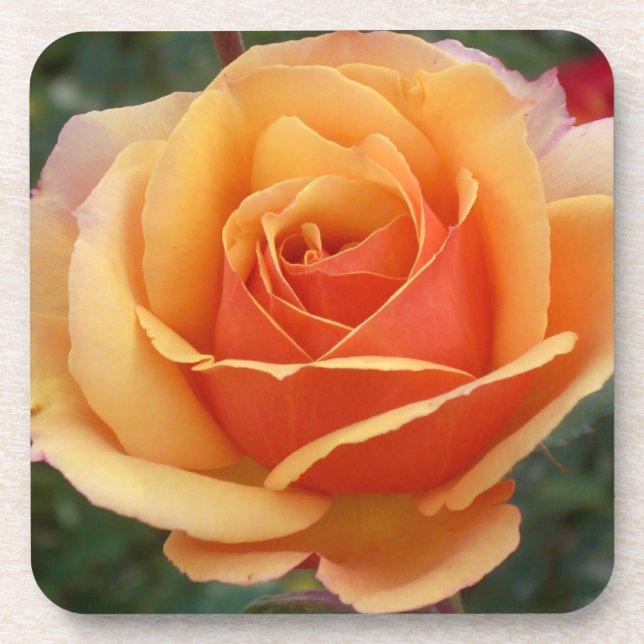 Porta-copo Rosa (Frente)