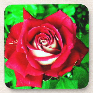 Porta-copo Rosa