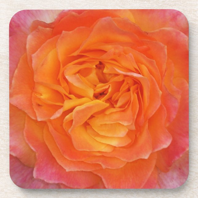 Porta-copo Rosa (Frente)