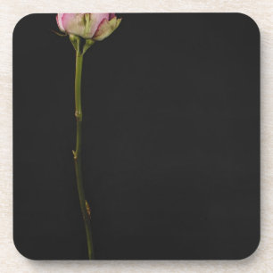 Porta-copo Rosa 3 do rosa