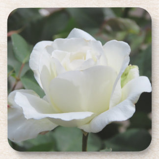 Porta-copo Rosa Branca