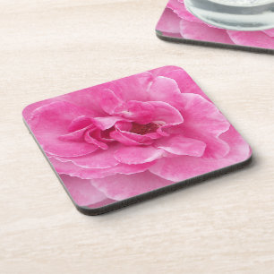 Porta-copo Rosa de Jardim Rosa