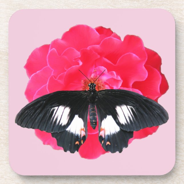 Porta-copo Rosa e Swallowtail (Frente)