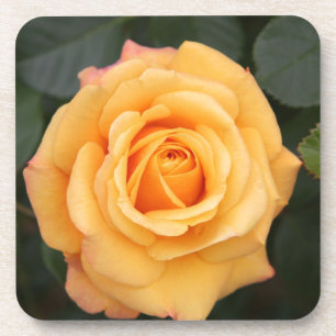 Porta-copo rosa floresce amante esposa casal