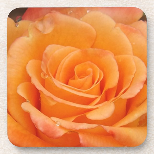 Porta-copo Rosa laranja (Frente)