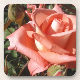 Porta-copo Rosa Rosa Cor-de-rosa