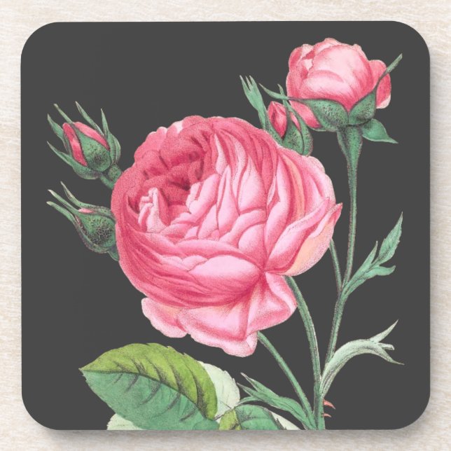 Porta-copo Rosa rosa floral moderno (Frente)