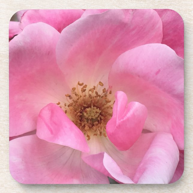 Porta-copo Rosa Rosa Rosa (Frente)