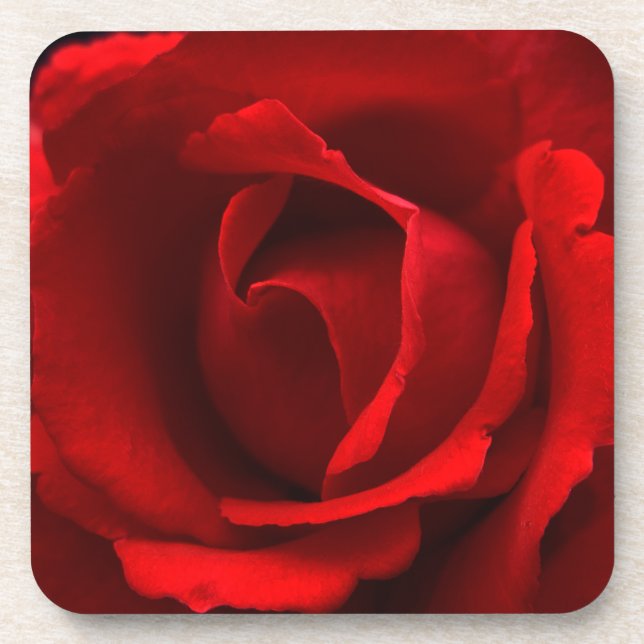 Porta-copo Rosa vermelha costeira (Frente)