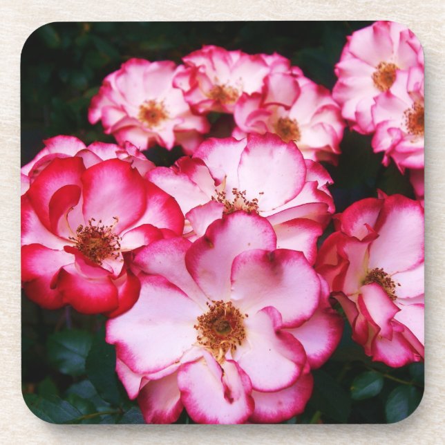 Porta-copo Rosas (Frente)
