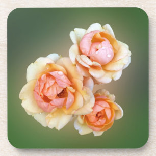 Porta-copo rosas amarelas