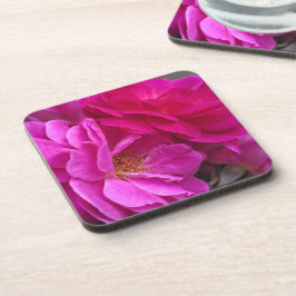 Porta-copo Rosas Rosas