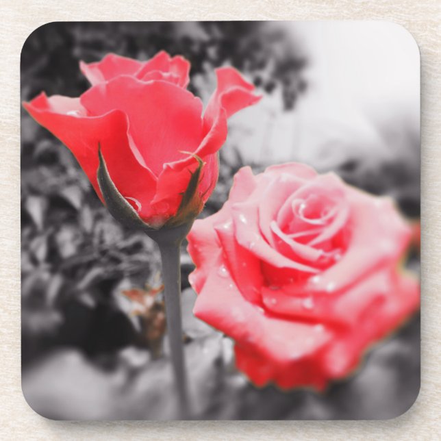Porta-copo Rosas Vermelhas Vintage (Frente)