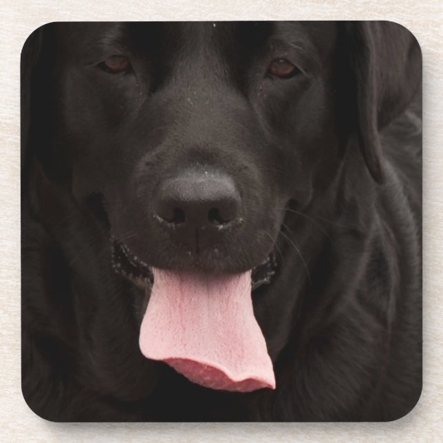 Porta-copo Rosto de cachorro preto (Frente)