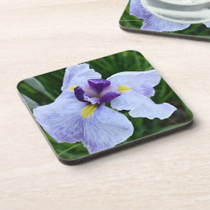 Porta-copo Roxo Japonês Iris Bloom Floral