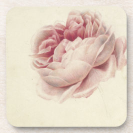 Porta-copo Roze Roos (1792) – Arte Botânica Antiga Atemporal