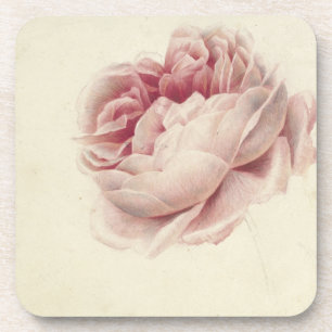 Porta-copo Roze Roos (1792) – Arte Botânica Vintage Atemporal