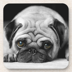 Porta-copo Sad Pug