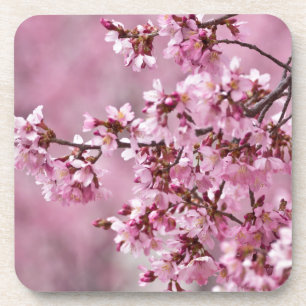 Porta-copo Sakura Cherry Blossoms Pastel Pink Camadas