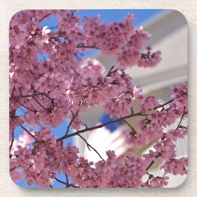 Porta-copo Sakura Flores de Cerejeira Americana (Frente)