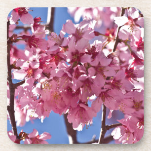 Porta-copo Sakura Flores de Cerejeira Estrelas Vermelhas