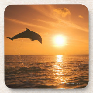 Porta-copo Salto do golfinho de Bottlenose
