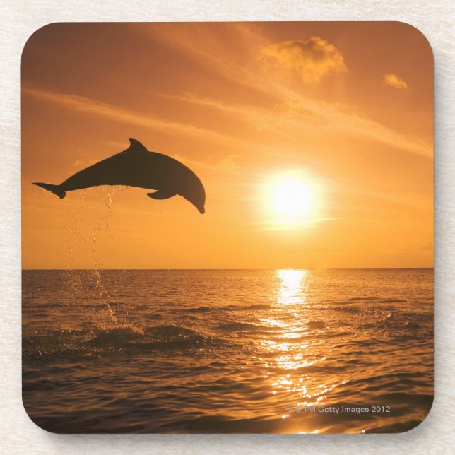 Porta-copo Salto do golfinho de Bottlenose (Frente)