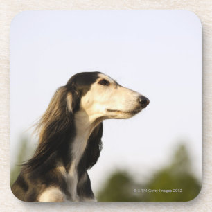 Porta-copo Saluki 2