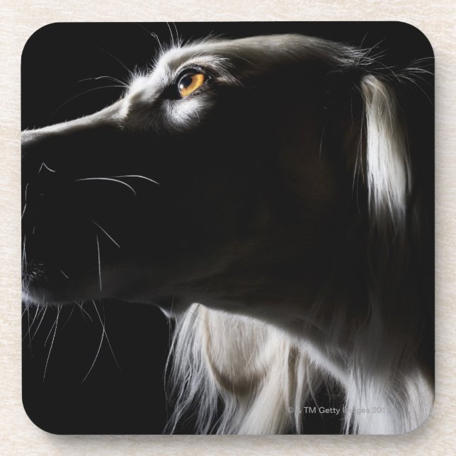Porta-copo Saluki, retrato (Frente)