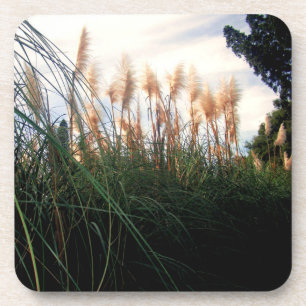 Porta-copo Sangue de Grama de Pampas Brancas, Portas copos