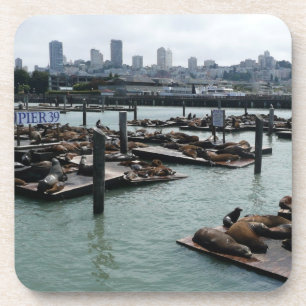 Porta-copo São Francisco e Pier 39 Sea Lions City Skyline