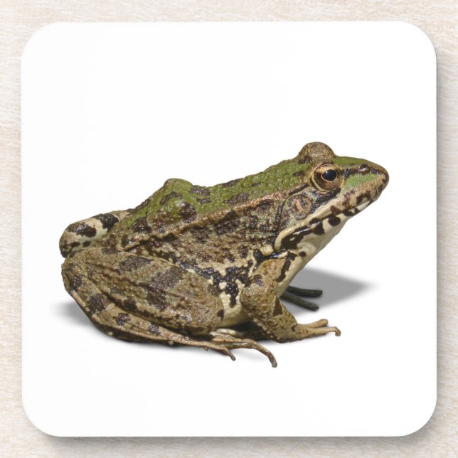 Porta-copo Sapo (Frente)