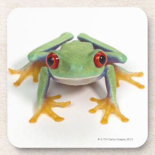 Porta-copo Sapo fêmea