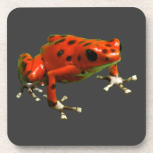 Porta-copo Sapo Red Poison Dart