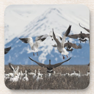 Porta-copo Scattering Geese