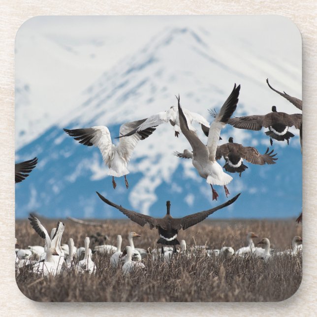 Porta-copo Scattering Geese (Frente)