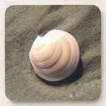 Sea Shell